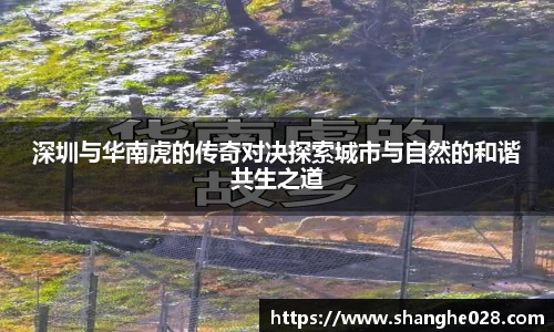 九游体育平台